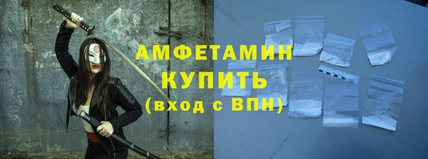 шишки Белая Холуница